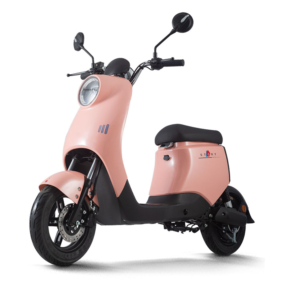 LYUE 800W Motor 44km/h Max Speed Electric Scooter Bike With Front And Rear Hydraulic Shock Absorbers